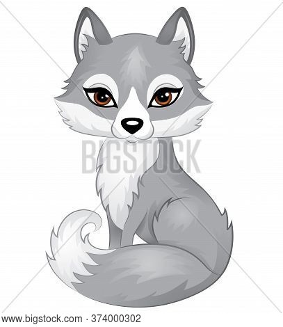 Cute Grey Color Wolf Or Dog With Brown Eyes Isolated On White.