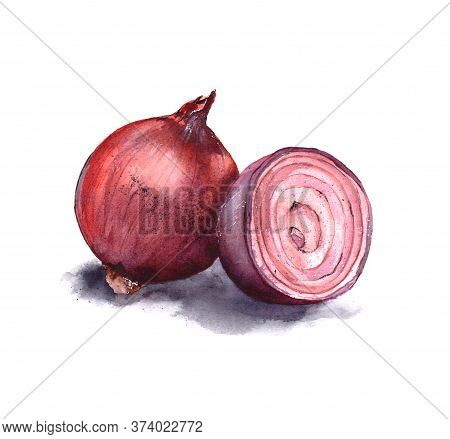 Watercolor Illustration Of Red Onion Whole Onion And Sliced Onion. Isolated On A White Backgrou