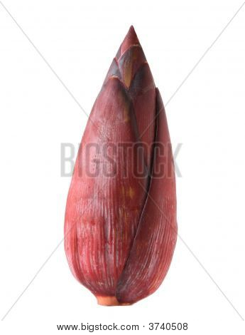 Banan blomst