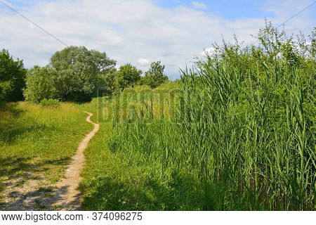 A Footpath Through The Wetlands Of Isola Della Cona In Friuli-venezia Giulia, North East Italy