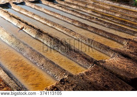 Sea Salt Manufactures. Producing Sea Salt In Bali, Process. Salt Making Process