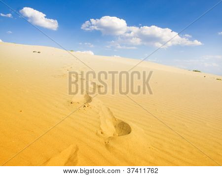 paesaggio del deserto