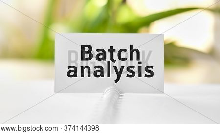 Batch Analysis Business Seo Concept Text On A White Notebook And Green Flowers