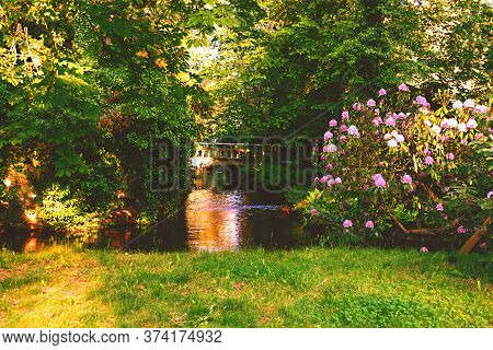 Bridges In The Manor Park In The City Of Iłowa In Poland.\nmanor Park In The City Of Iłowa In Wester