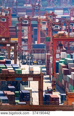 Working at Tshing yi Hong Kong Port for shipping and freight transportation and global business import and export background