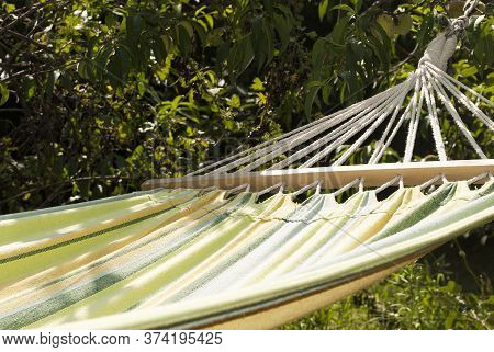 Hammock In The Garden On A Bright Sunny Day.