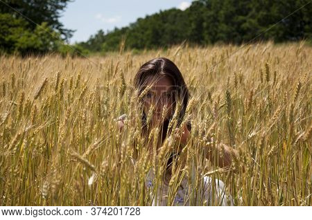 Woman In Rye. Field Of Spikelet. Summer Wheat Field. Ukrainian Nature In Summer. Girl In Ukraine. Co