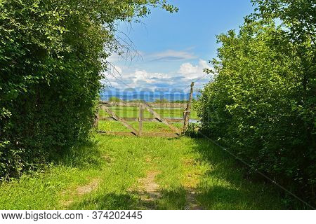 A Rustic Wooden Gate In The Wetlands Of Isola Della Cona In Friuli-venezia Giulia, North East Italy