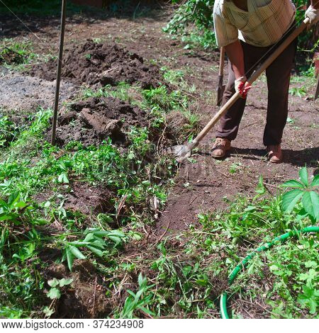 A Man Digging The Soil With Spud, Focus In The Foreground, Concept Of Hard Manual Labor