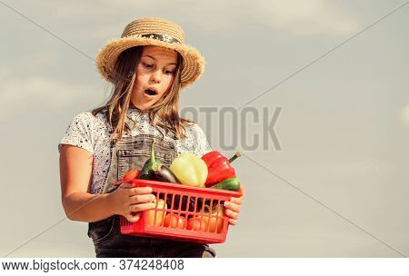 Right Nutrition. Kid On Summer Farm. Organic Food. Harvest Vitamin. Spring Market Garden. Happy Litt