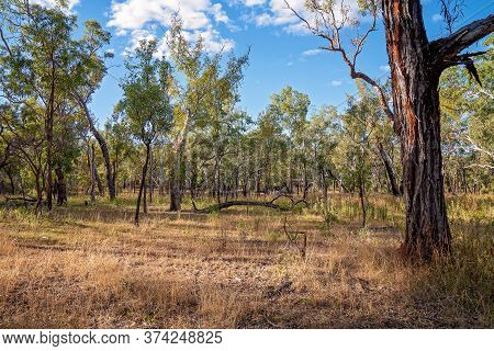 Australian Bushland Setting With Tourist Cabins Barely Visible Amongst The Trees In A Volcanic Natio