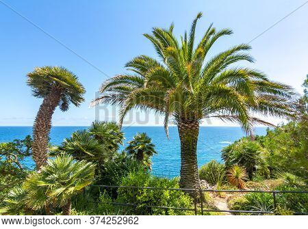Marimurtra Botanical Garden In Blanes Near Barcelona, Spain