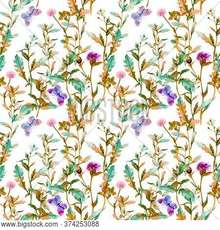 Autumn Meadow, Prairie. Floral Sprigs, Flowers. Vintage Seamless Spacial Pattern. Watercolor