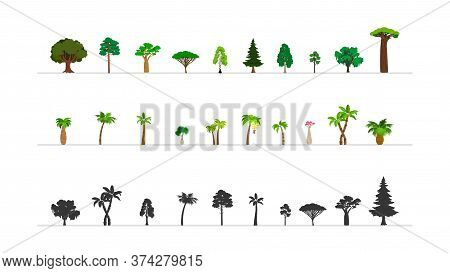 Green Forest Tree Icons. Exotic Bushes Palms, Different Woods Silhouettes. Botanical Symbols Vector 