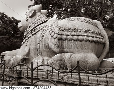 Mysore, Karnataka/india-oct 31 2019: Beautiful View Of Huge White Nandi Or Basava Stone Statue In Ch