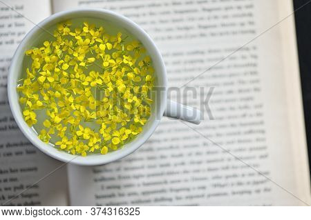 Closeup Cup Of Herbal Drink On Open Book
