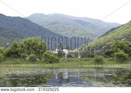 Garden Of Water Bukhangang River Viewed Through The Trees Growing Alongside The River.