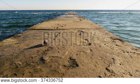 The Roughness Of The Concrete Pier Looks Like A Texture Or Landing Pad For Birds In The Open Sea
