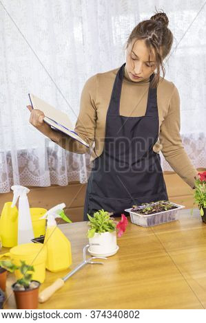 Attractive Positive Joyful Girl Holding Diary Planting Plants In Pots Indoor. Home Gardening Hobby. 