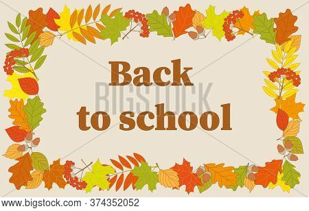 Slogan Back To School Into Frame With Colorful Autumn Foliage And Rowanberry Twigs. Vector Illustrat