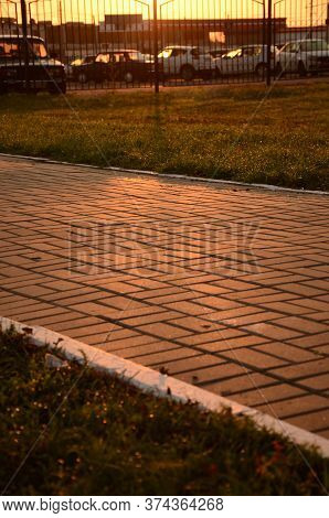 Dew On The Green Grass At Dawn. Selective Focus, Paving Slabs In The Park Through The Meadow, Vertic