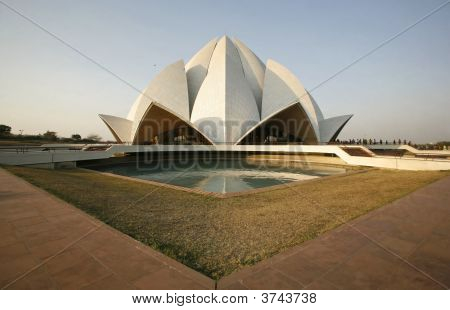Lotus