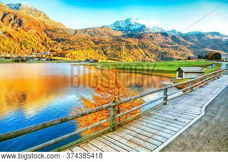 Awesome Autumn Panorama Of Silvaplana Lake And Surlej Village. Location: Silvaplana, Maloya District