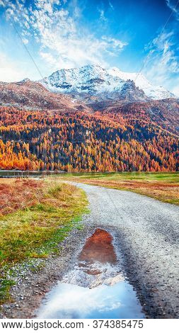 Spectacular Autumn Scene With Snowy Peaks Of The Bernina Range Mountain Tops Under A  Blue Sky. Mirr