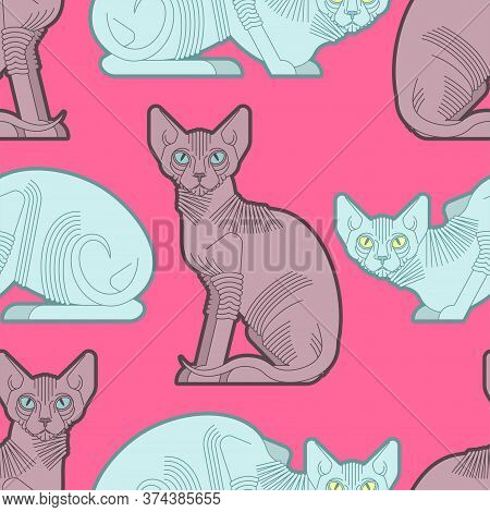 Sphynx Cat Pattern Seamless. Pet Background. Home Animal Texture. Vector Ornament