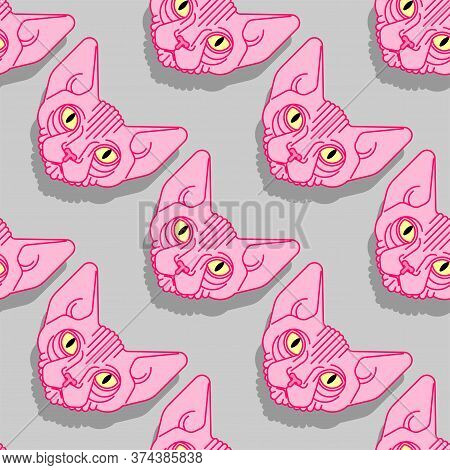 Sphynx Cat Pattern Seamless. Pet Background. Home Animal Texture. Vector Ornament