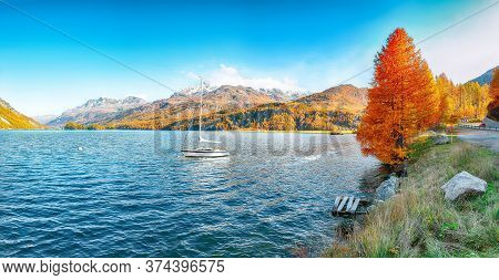 Astonishing Autumn Scene In Swiss Alps And Views Of Sils Lake (silsersee). Colorful Autumn Scene Of 
