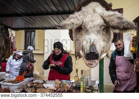 Kacarevo, Serbia - February 18, 2017:  Head Of A Dead Mangulica Pig In Front Of Market Sellers. Mang