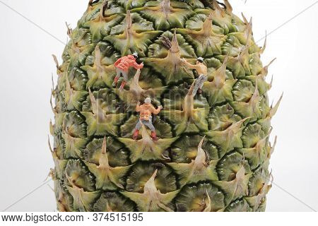 The Mini Figure Roller Skating On Thepineapple