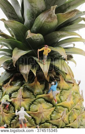 The Mini Figure Roller Skating On Thepineapple