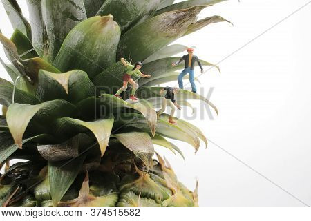 The Mini Figure Roller Skating On The Pineapple