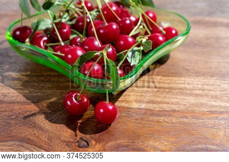 New Harvest Of Red Ripe Juicy Sour Cherry Or Kriek Berry