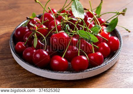 New Harvest Of Red Ripe Juicy Sour Cherry Or Kriek Berry
