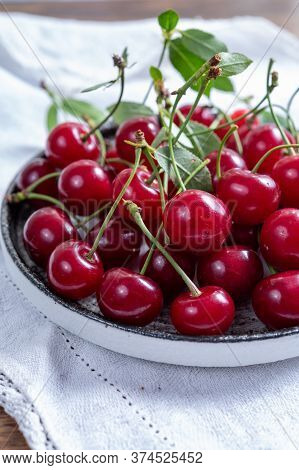 New Harvest Of Red Ripe Juicy Sour Cherry Or Kriek Berry