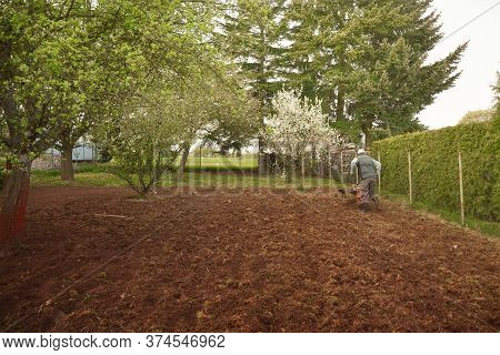 Old Man Plows The Ground With A Motor Cultivator. A Farmer Ploughs The Soil Using A Petrol Cultivato