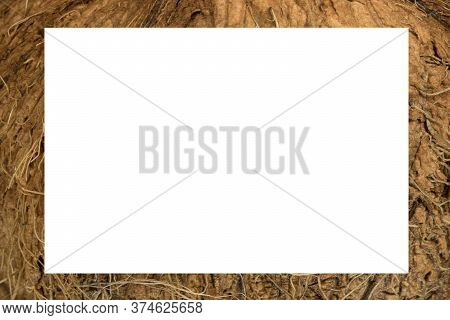 Coconut Fibre Texture. Shallow Depth Of Field Photograph.