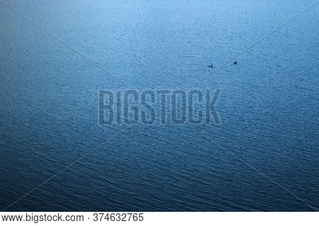 Two Ducks Swimming In The Vastness Of Lake Potrero De Los Funes, In San Luis, Argentina.