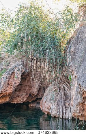 The Natural Swimming Pool At The Ongongo Camping Site In The Kaokoveld Region Of Namibia. Bird Nests