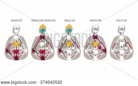 Generator Projector Manifestor Reflector. Five Human Design Types.human Design Bodygraph Chart. Illu