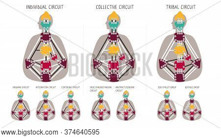 Circuitry. Human Design Bodygraph. Hand Drawn Bodygraph Chart Design. Graphic.