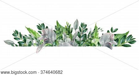 Green Leaf Watercolor Hand Drawn Elegant Border Arrangement. Eucalyptus And Buxus Exotic Leaves In D
