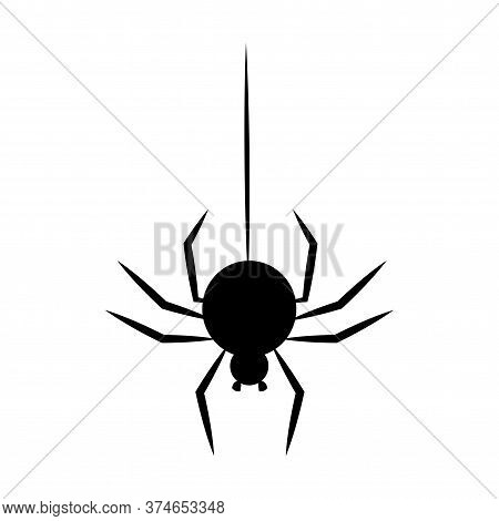 Black Spider Hanging On A Thread. Halloween Decoration Element