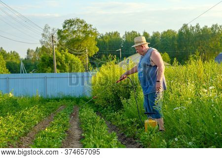An Elderly Man In A Hat Sprays An Insecticide On The Tops Of Potatoes. The Fight Against The Colorad