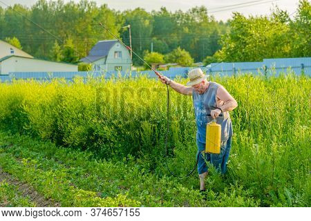 An Elderly Man In A Hat Sprays An Insecticide On The Tops Of Potatoes. The Fight Against The Colorad
