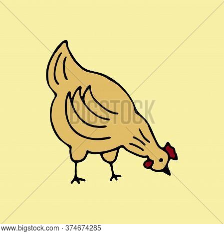 The Chicken Is Walking. Colorful Vector Illustration. Domestic Bird. Poultry Breeding Concept, Rural