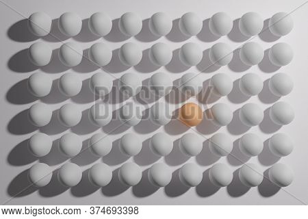 Egg Brown Among A Multitude Of White Eggs. Difference Concept.